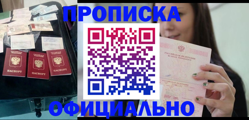 прописка законно в Борзе